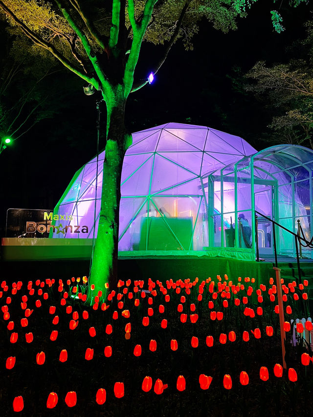 Most Beautiful Light Shows is here in Desa ParkCity 