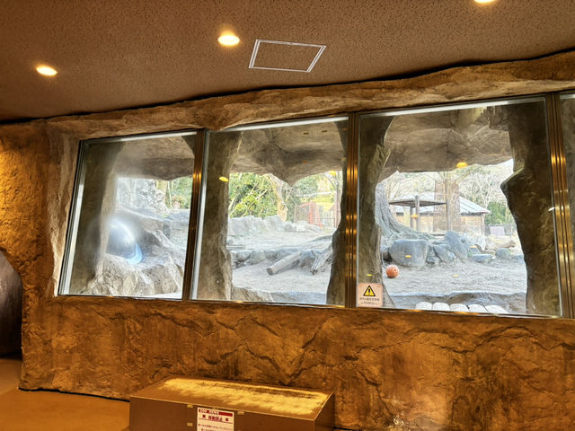 🇯🇵【愛媛県】子連れ旅行におすすめ！スタンプラリーが楽しい動物園🦁