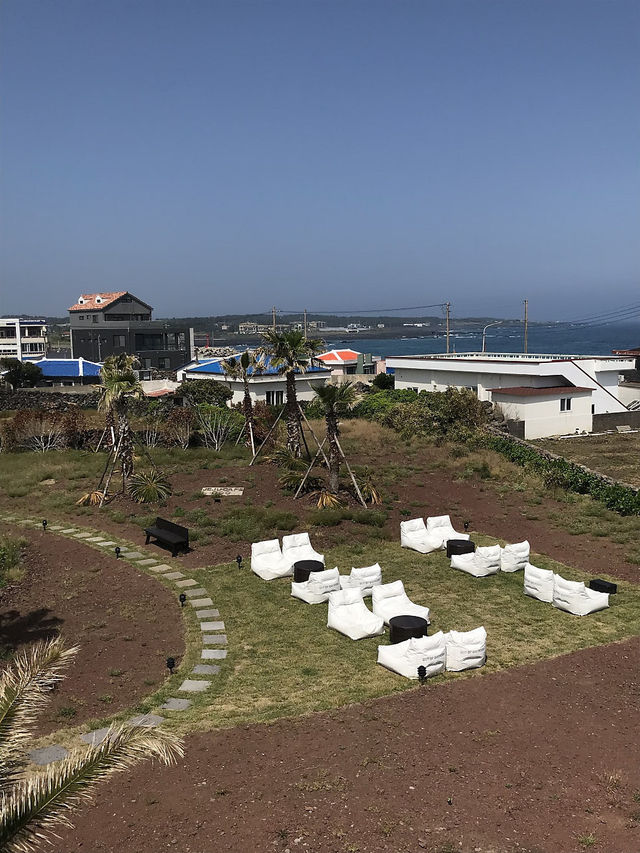 야자수🌴+오션뷰🌊 =경치 좋은 제주 카페 아오오