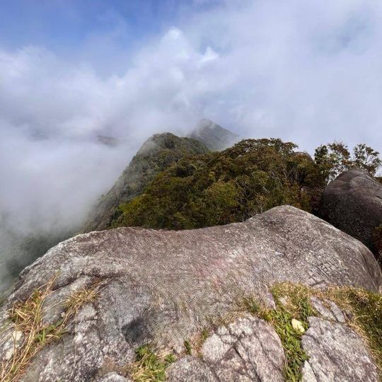 Conquering Gunung Ledang: A Mystical Malaysian Trek⛰️