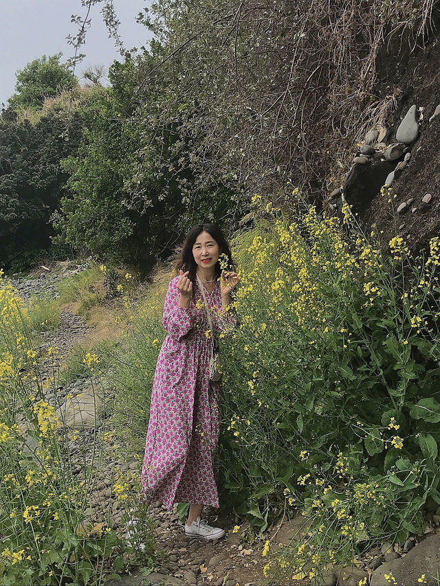 제주 올레길 7코스 함께 걸어요🚶🏻‍♀️
