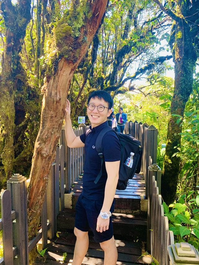 Mystical Mossy Forest - Rarest Encounter in Malaysia! 