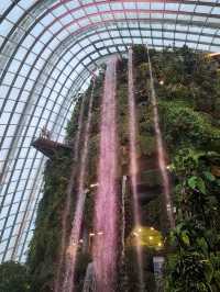 📍Cloud Forest