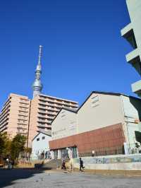 A Hidden Gem for Dessert Lovers in Sumida!