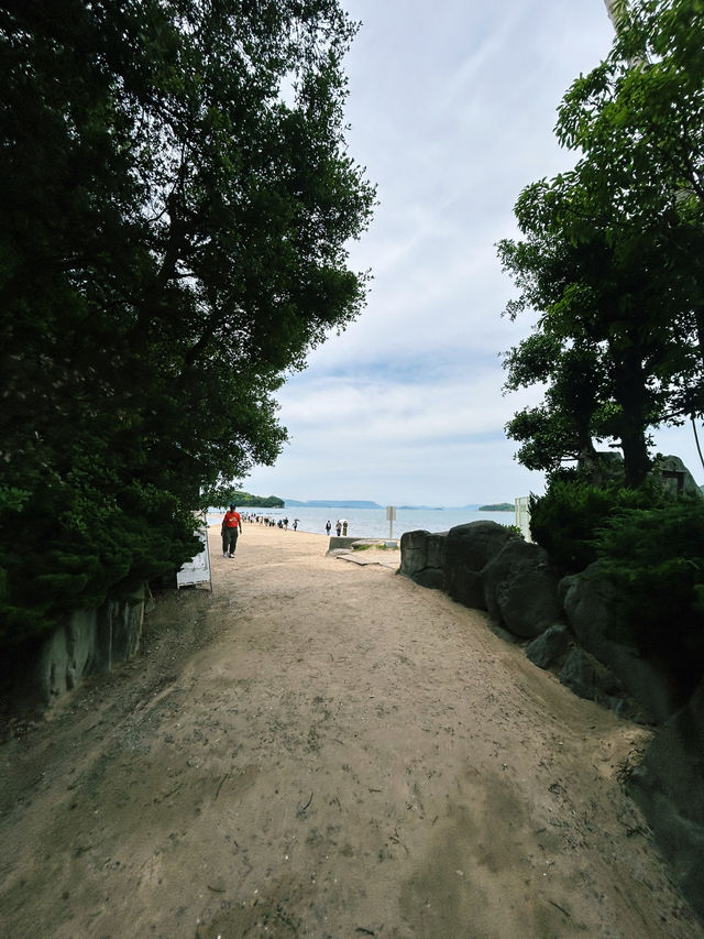 潮が引くたび、奇跡の道が現れる⛅✨
