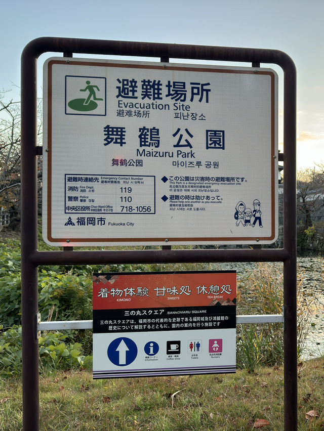 福岡舞鶴公園：歷史與自然的完美交融 🌿