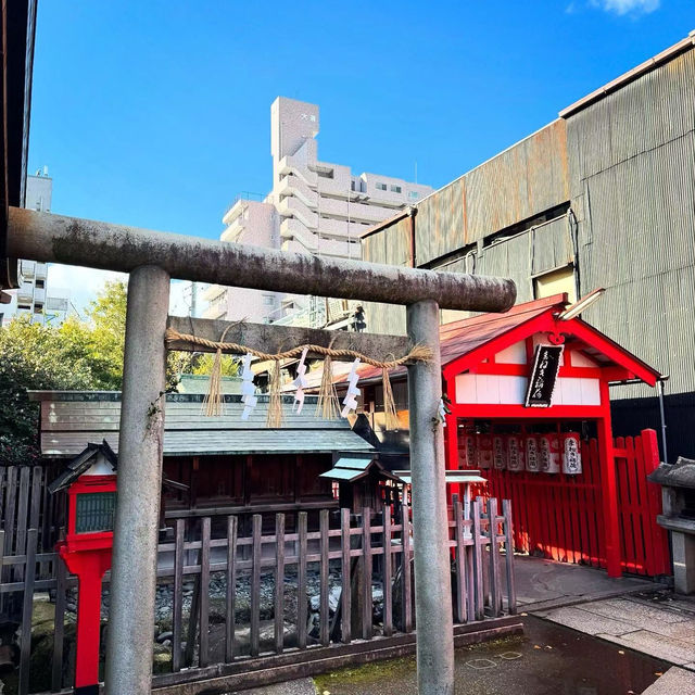 新田神社 🌿城市中的一片寧靜