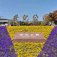 The Beauty of Plum blossoms in March on Century Park Shanghai 世紀公園