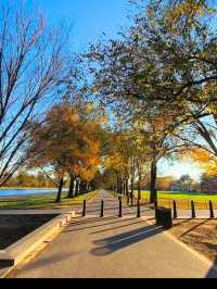 TBE NATIONAL MALL.