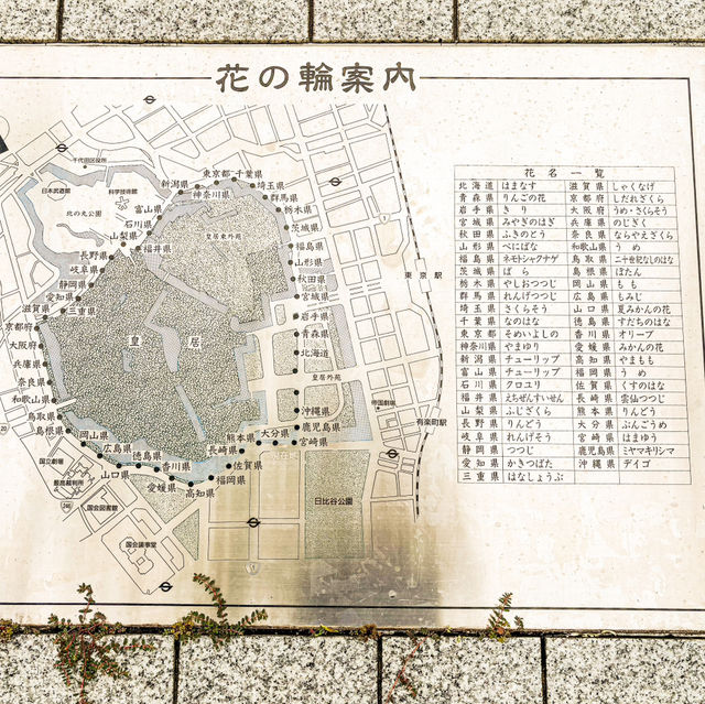 【東京】ランナーの聖地🏃‍♂️‍➡️と散歩に最適な5km