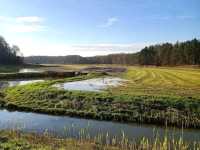 Zuid-Kennemerland National Park