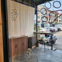 cat cafe in lamphun