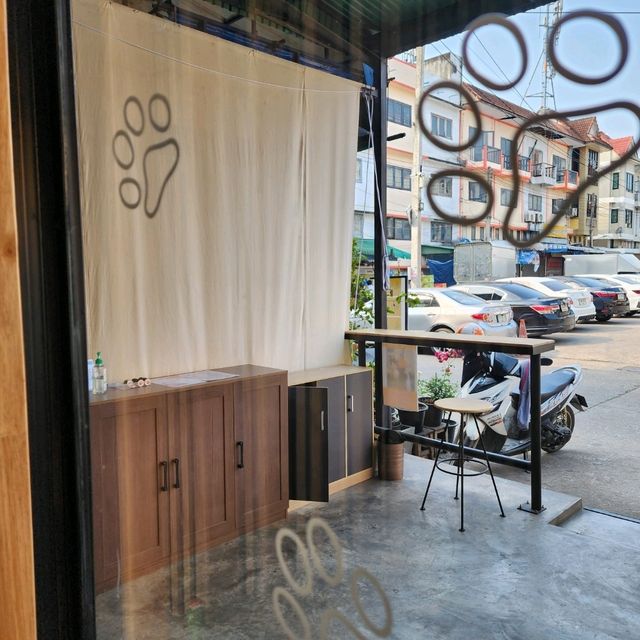 cat cafe in lamphun