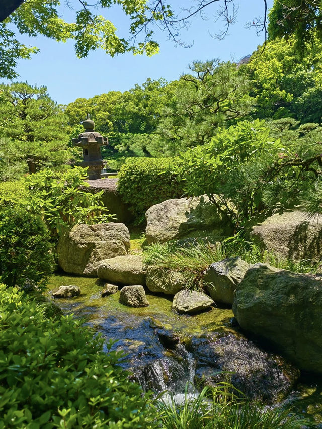 A Tranquil Escape to Ohori Park Japanese Garden
