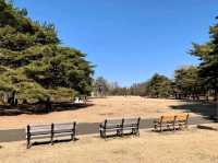 Nogawa Park (野川公園)