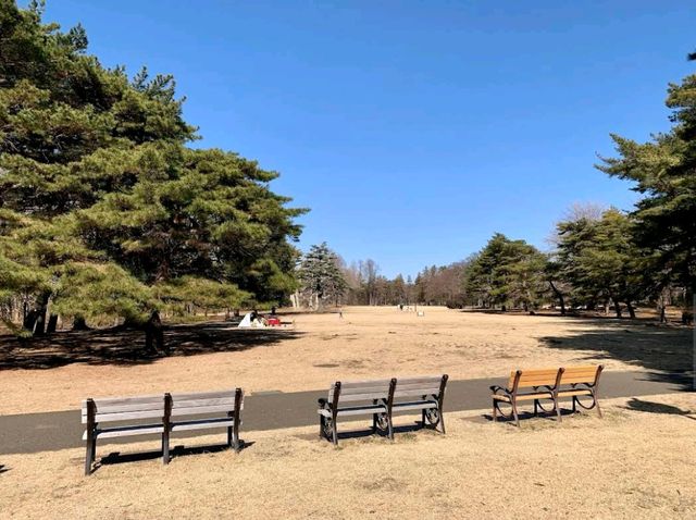 Nogawa Park (野川公園)