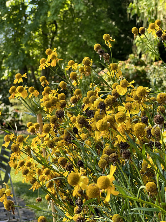 A Tranquil Retreat: A Day at St. Gallen’s Botanical Gardens