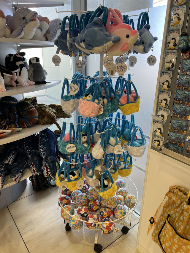 大分　🩵水族館🦭🐬