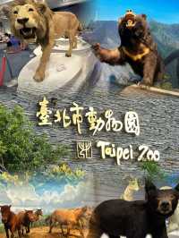 臺北市動物園🐾大人小朋友都啱玩地方