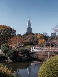 【新宿】新宿御苑：都会のオアシスで四季を感じる名庭園				