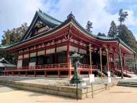 比叡山延曆寺，徜徉杉林古剎、搭纜車賞琵琶湖