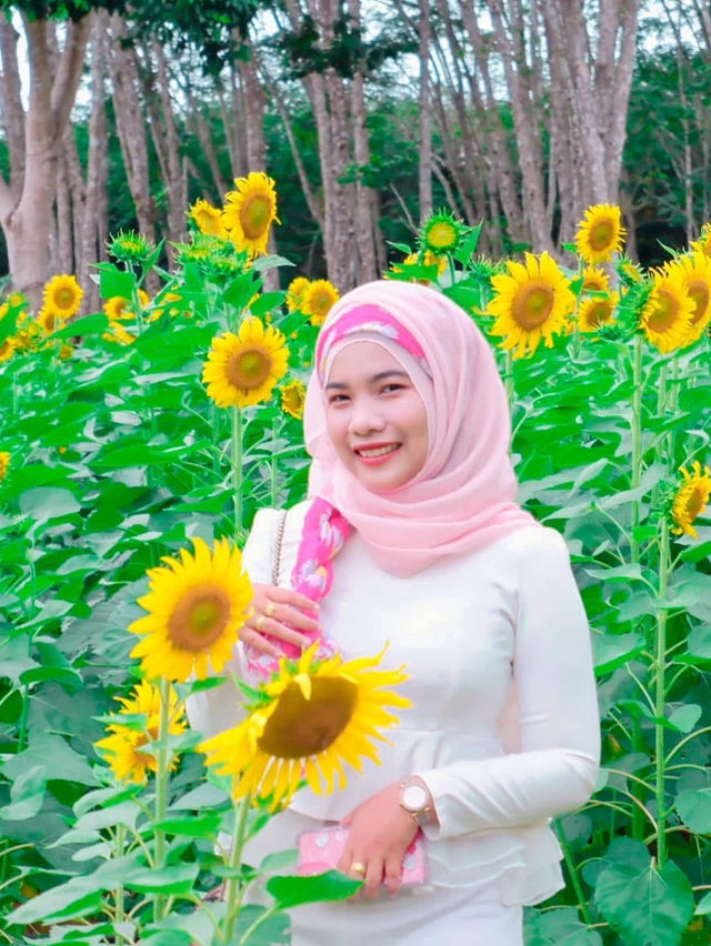 ไร่ผาตะวัน