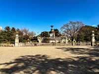【鶴舞公園】四季を楽しむ！ 桜もバラも絶景の名所