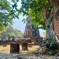 Wat Mahathat: A Sacred Historical Treasure