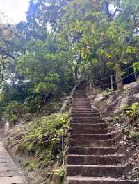 Hiking to Victoria Peak: An Easy and Scenic Route