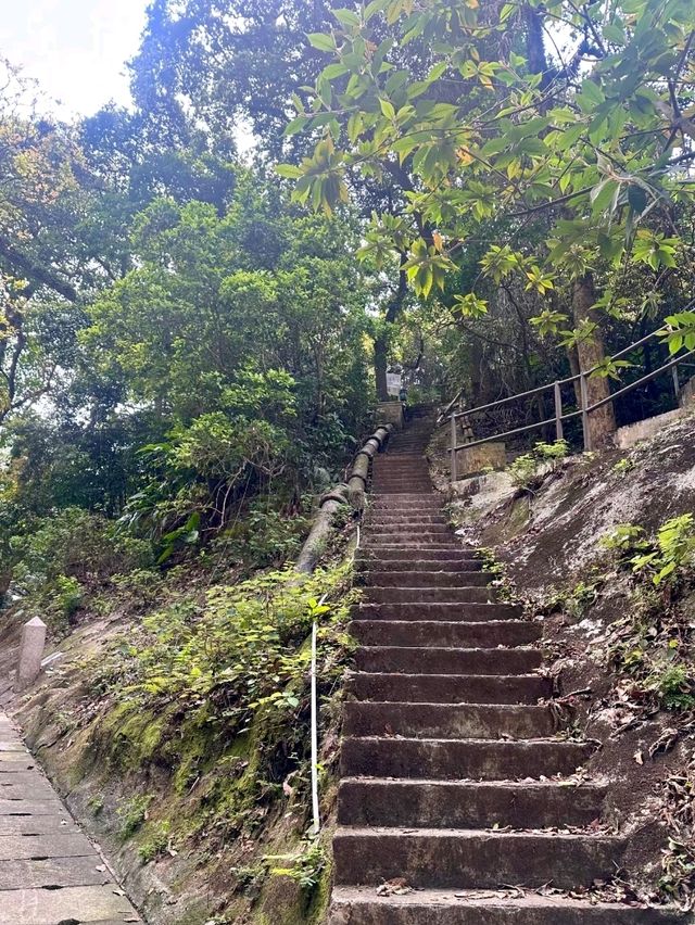Hiking to Victoria Peak: An Easy and Scenic Route