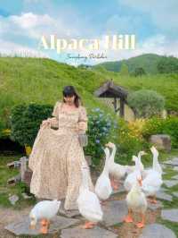 เที่ยวสวนผึ้งราชบุรี ที่ Alpacahill