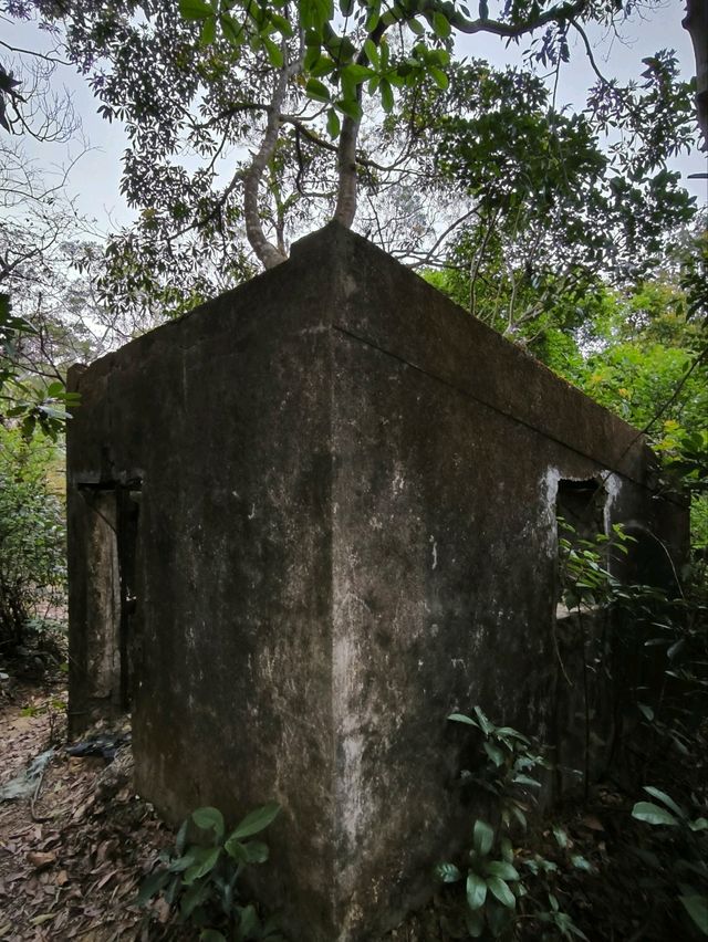 【石龍拱】有美麗山海相伴,是行山之好去處！