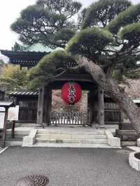 探索鎌倉長谷寺🌿 觀音菩薩與弁天窟的神秘魅力