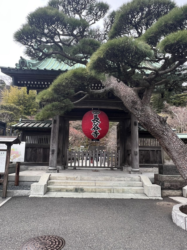 探索鎌倉長谷寺🌿 觀音菩薩與弁天窟的神秘魅力