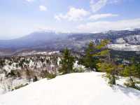 【岩手県】春の風物詩！八幡平アスピーテライン「雪の回廊」