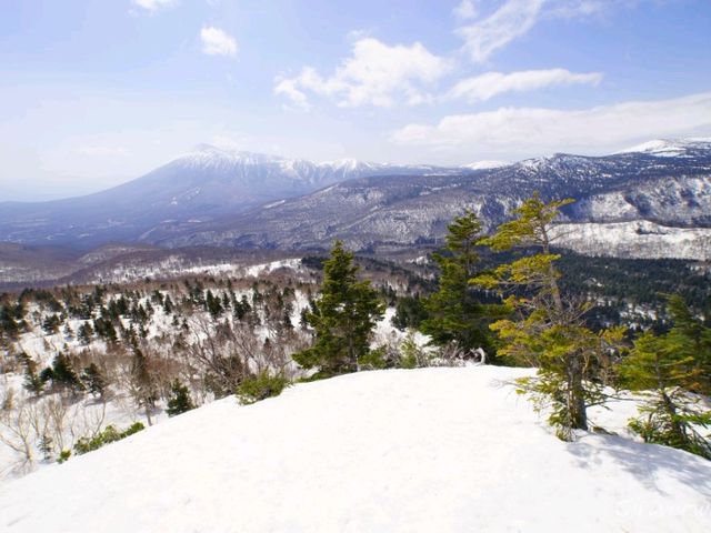【岩手県】春の風物詩！八幡平アスピーテライン「雪の回廊」