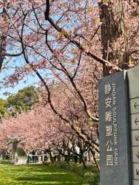 Jing’an Sculpture Park: A Futuristic Hanami Experience