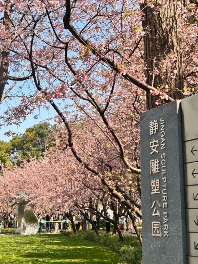Jing’an Sculpture Park: A Futuristic Hanami Experience