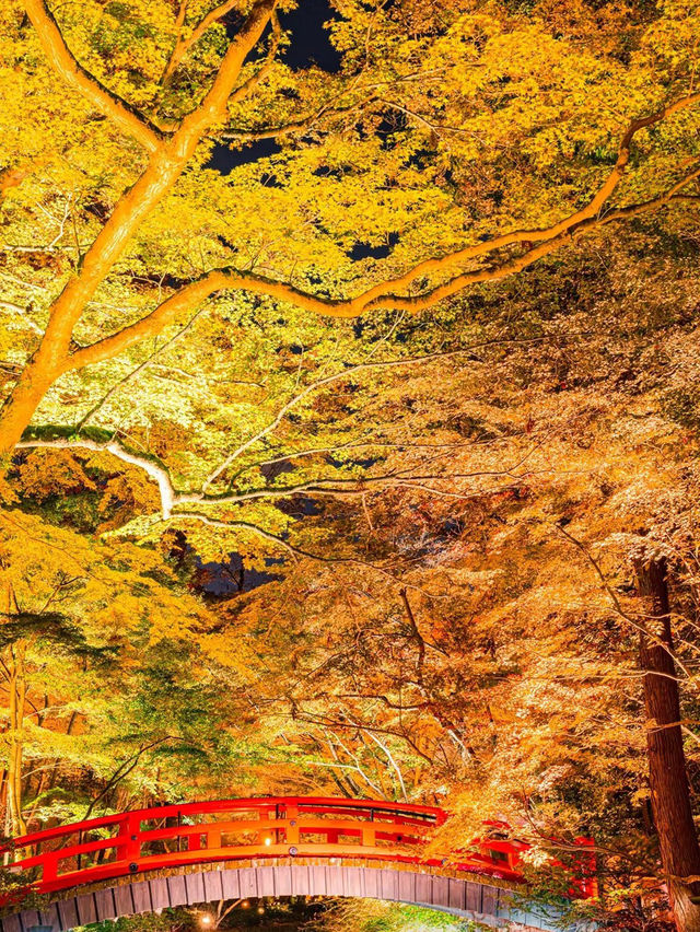 京都の紅葉名所10選 🍁✨