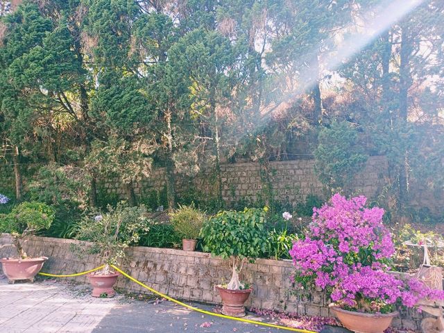 越難大叻春香湖畔著名景點：Đà Lạt Bishop Mission，湖邊歐式雕像和建築，適合打卡拍照📸