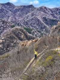 Hidden Springtime Gem in Beijing: A Historical Scenic Spot Just 1 Hour Away! 🌸⛰️
