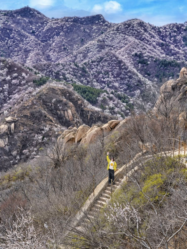Hidden Springtime Gem in Beijing: A Historical Scenic Spot Just 1 Hour Away! 🌸⛰️