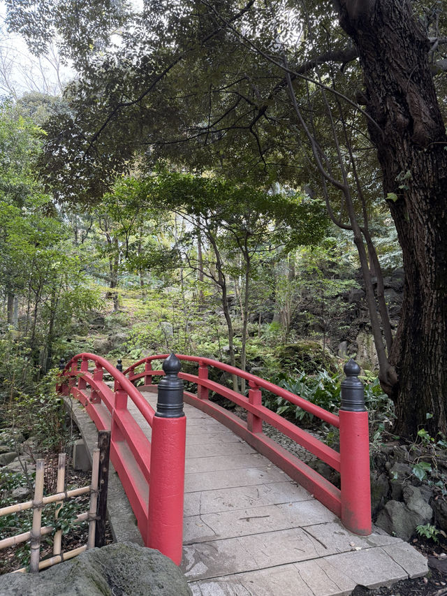 Spring at Akasaka Hikawa Shrine🌸
