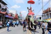 แห่ช้างบวชนาคไทยพวนบ้านหาดเสี้ยว