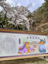 Cherry Blossoms at Oharano Shrine