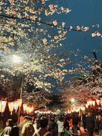 都内屈指のお花見名所🌸上野恩賜公園で春満喫！