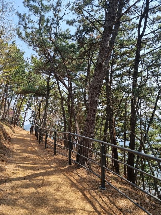 사람들 잘 모르는 산책하기 좋은 곳! 씨릉섬🏝