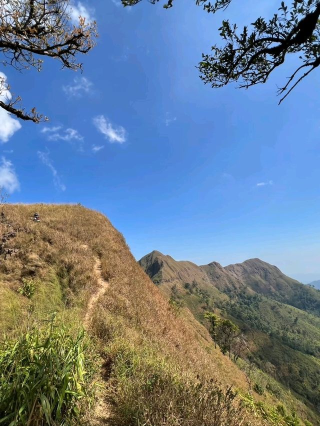 เขาช้างเผือก 