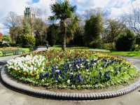 Breathe in Belfast: Spring at Botanic Gardens