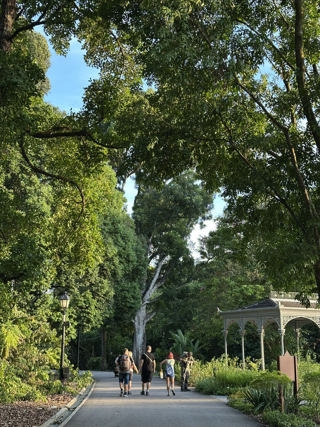 싱가포르 도심 한 가운데 숲속🌳 보태닉 가든 